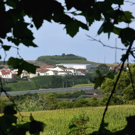Vakantiehuis Sunset Greenhouse *